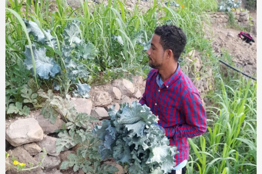 Anildo Lobo, o jovem empreendedor de Lomba Tantum que aposta na agricultura, pesca, produção de aguardente e turismo na Brava