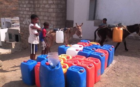 Populacao de Palhal ha mais de 90 dias sem agua