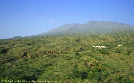 Brava: Cachaco mantem firme no PAICV