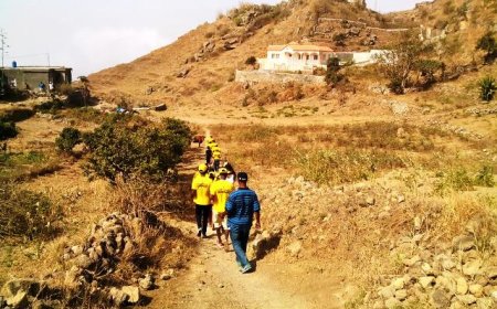 Brava: MpD ganha na mesa de pau