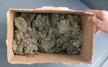 MAIS DE 1KG DE “PADJINHA” APREENDIDO