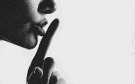 Brava: Liberdade de expressão e de escolha versus perseguição Politica