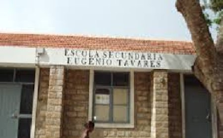 Escola Secundária Da Brava Realiza Campanha De Limpeza