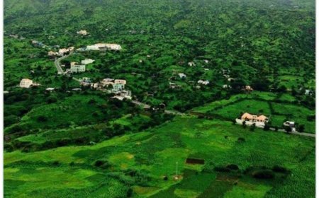 Beleza da minha ilha - Foto da semana