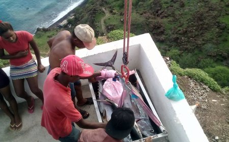 Teleférico ja transportou mais de 27 toneladas de pescado