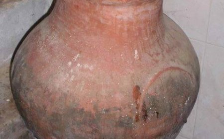 Foto da semana - Pote