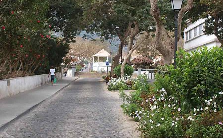 Maria José Pinheiro deixa o mundos dos vivos