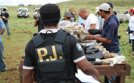 Agência Reuters associa atentado contra o filho do PM e assassinato da mãe da inspetora da PJ ao narcotráfico