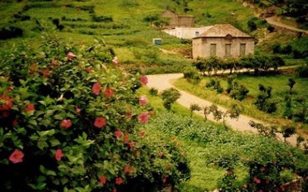 Consumidores da localidade do Mato reclamam da facturação  da Electra