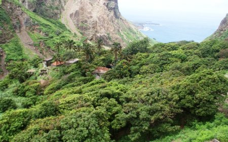 Fogo e Brava: Agricultores iniciam campanha agrícola com as primeiras chuvas