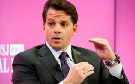 Scaramucci: há pessoas na Casa Branca a querer correr com Trump