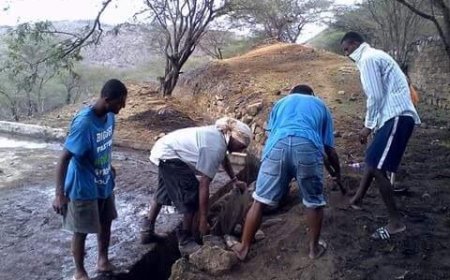 Comunidade de Cachaço limpa a sua localidade