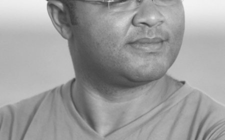 DUAS REGRINHAS AO MEU AMIGO EUROPEU - Paulino Dias