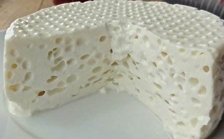 Queijo de Santo Antão premiado em Itália