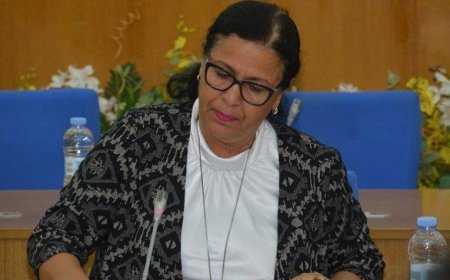 Manuais. Ministra anuncia inquérito para apurar responsabilidades, mas os livros ficam