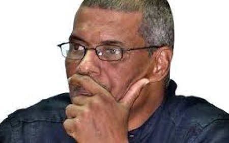 As duplas remunerações dos políticos e os seus efeitos na nossa sociedade