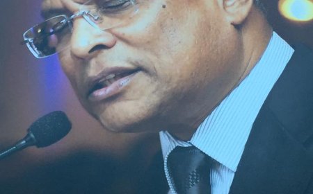 O meu olhar - Jose Maria Neves