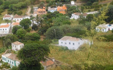 Câmara infraestrutura ilha com visão turística e voltada para empregabilidade dos munícipes