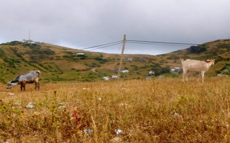 Brava: Agricultores de Tomé Barras pedem urgência nas medidas de resposta à seca