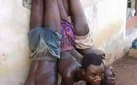 Imagem do seculo: Onde vamos parar? Onde esta a comunicacao social mundial, africana e cabo-verdiana??