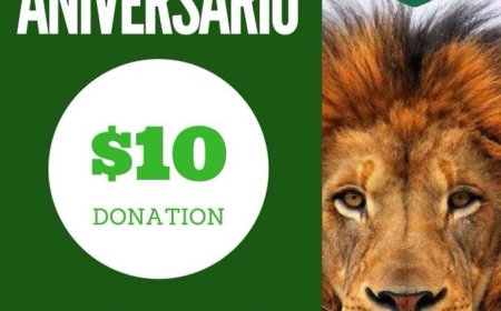 É hoje!!! Finalmente chegou o tão aguardado dia.