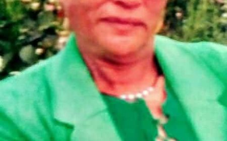 A dor da perda da minha mãe - João Manuel Gomes