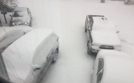 Brockton: Mau tempo deixa milhares sem sair de casa, incluindo cabo-verdianos