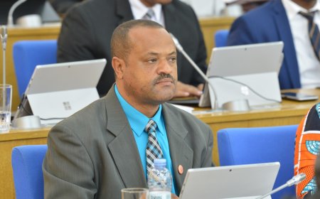 David Lima Gomes, Deputado do MPD, pede intervenção do Governo para pôr fim aos abusos da Cabo Verde Fast Ferry