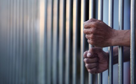 Prisão preventiva para presumivel homicida de Elcy Santiago