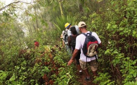 Assalto com violência na Serra de Malagueta: Turista australiano agredido à facada e perde três dedos