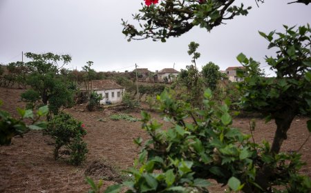 Ilha Brava: Onde a tranquilidade nao tem limites