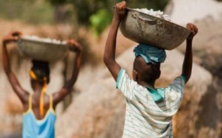 Programa conjunto do ICCA e Unicef de protecção da criança em Cabo Verde apresentado às plataformas da região Fogo e Brava