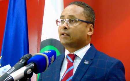 MpD enaltece a situação do emprego e do crescimento económico em 2017