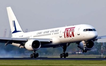 TACV apresenta sua nova imagem de marca e diz que ela reforça a ligação da companhia ao País