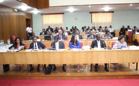 Parlamento: Oposição vai interpelar o governo sobre políticas públicas para comunidade emigrada