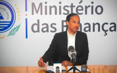 Directora Nacional de Receitas do Estado também não paga impostos