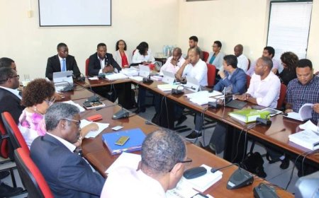 HEMORRAGIA FINANCEIRA E CAOS NOS TACV