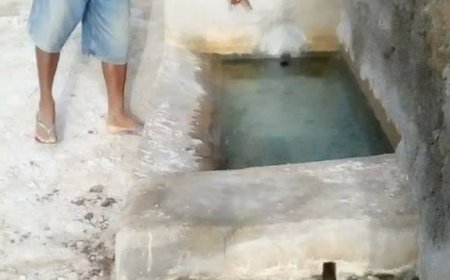 Recuperação de Água de uma nascente em "Aguadinha" para o consumo dos Animais 