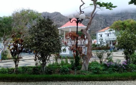 A forma como é tratada a natureza na Brava é “totalmente diferente” da das outras ilhas – Cármen Araújo