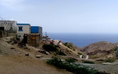 Programa 20/30 desenvolve projecto Brava Fish na ilha cujo motor de desenvolvimento é a pesca