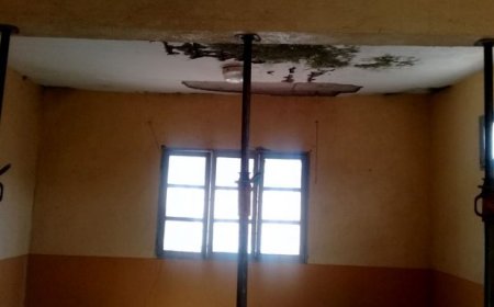 Ilha Brava: Degradação da Escola de Campo Baixo representa perigo para os alunos e funcionários