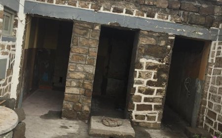 Casas de banho da Escola do Mato sofre profundas obras de remodelacao