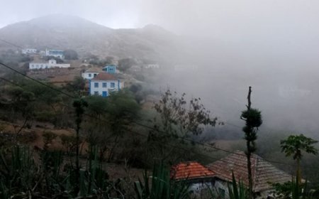 Ilha Brava tem “grandes potencialidades” para desenvolvimento de um turismo rural e sustentável – bloggers