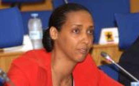 Líder da oposição visita EUA: Janira Hopffer Almada vai abordar os desafios mundiais e da África na reunião da Internacional Socialista