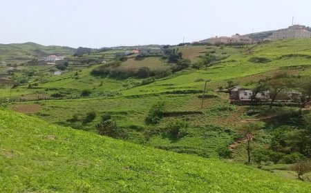 Ilha da Brava: Condutores pedem melhores condições para a estrada de Nossa Senhora do Monte