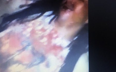 Formação de gangs rivais na ilha Brava - Um perigo eminente