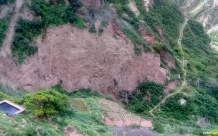 Brava: Projecto Poser Clima empregou cerca de 30 pessoas e pretende apoiar os pastores da ilha