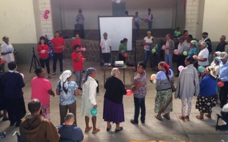 Brava: Actividades de Natal organizadas pela câmara reúnem cerca de 100 idosos