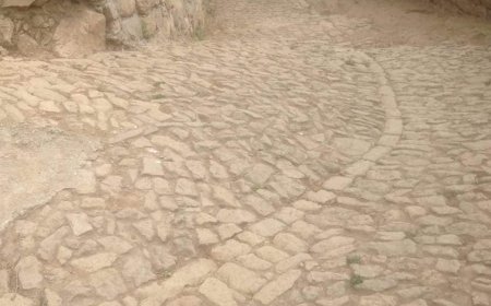 Factos: Trabalho de limpeza e manutenção da rua de BALEIA e do caminho vicinal MATO GRANDE - BALEIA.