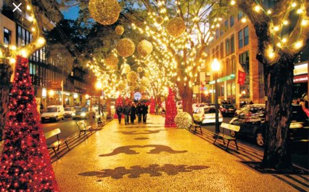 Light up Brava 2019 - Be part